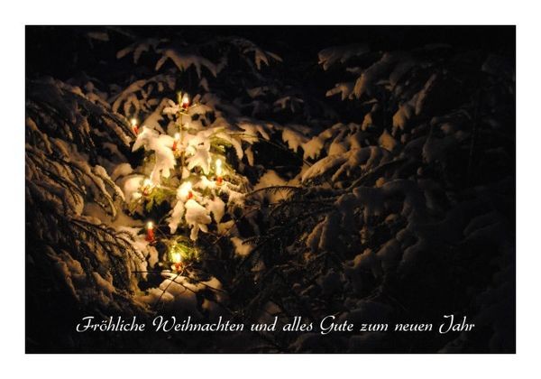 Neujahrskarten "Kerzenwald"