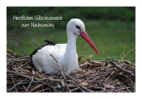 Glückwünsche zur Geburt "Nachwuchs" Glückwünsche zur Geburt "Nachwuchs"