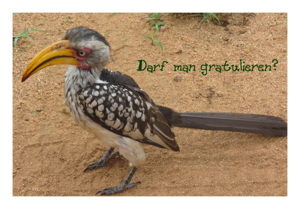 Geburtstagskarte "Vogel"