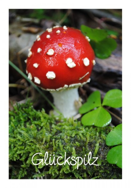 Viel-Glück-Karte "Glückspilz rot"