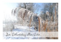 Originelle Geburtstagskarten "Winterzweig" Originelle Geburtstagskarten "Winterzweig"