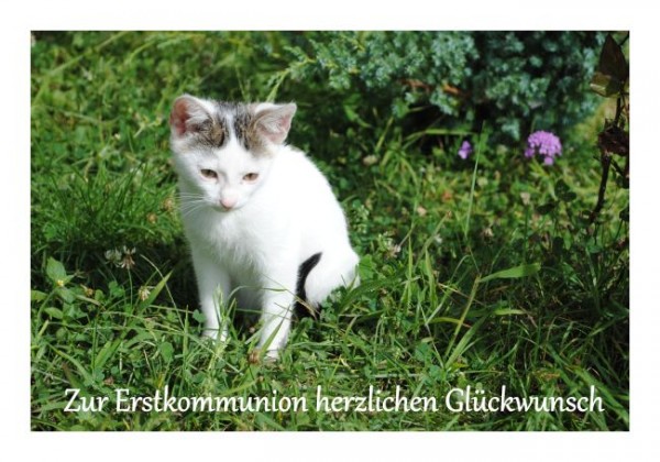 Kommunionkarten "Herzlichen Glückwunsch"