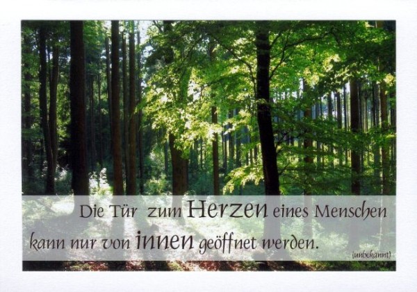 Sprüche Postkarten "Tür zum Herzen" KLAPPKARTE & KUVERT Naturzauber