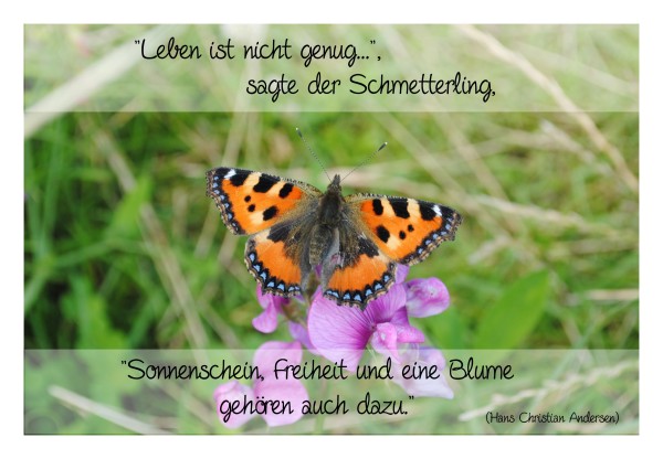 Sprüchekarte "Buntes Leben"