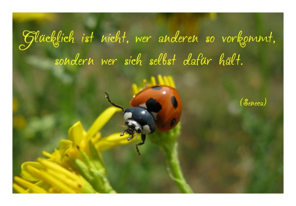 Sprüchekarte "Glücklich sein"
