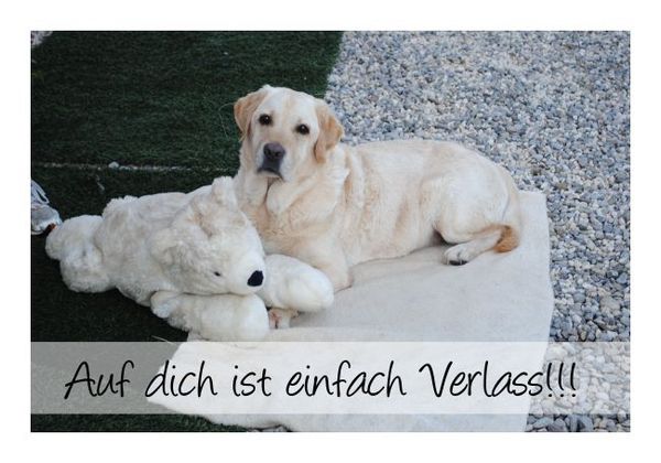 Auf Dich Ist Verlass Groß Oder Klein