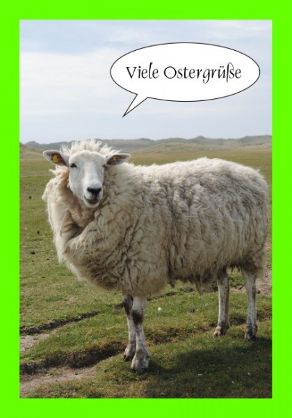 Ostern Karten "Osterschaf"