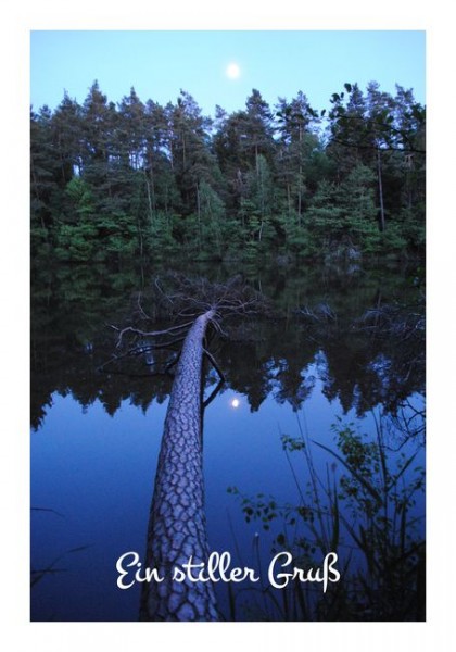 Stilvolle Trauerkarten "Ein stiller Gruß"