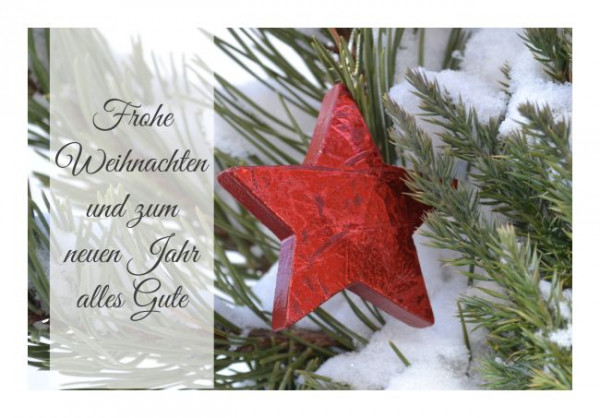 Weihnachtskarte "Weihnachtsstern"