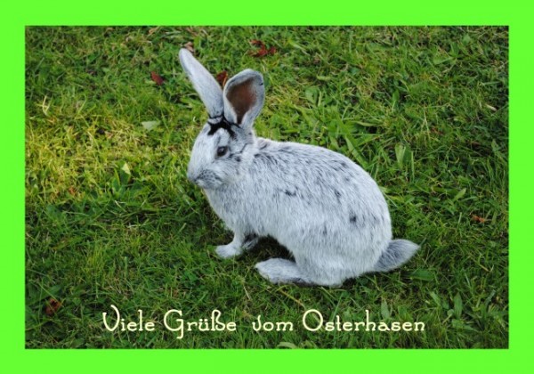 Osterkarten "Ostergruß"