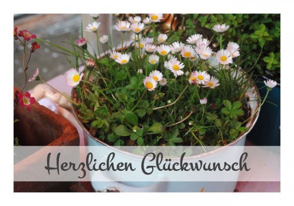 Originelle Geburtstagskarten "Blumentopf"