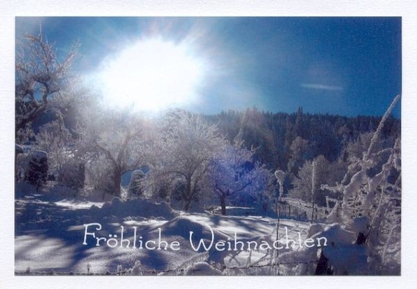 Weihnachtsglückwünsche "Wintersonne"
