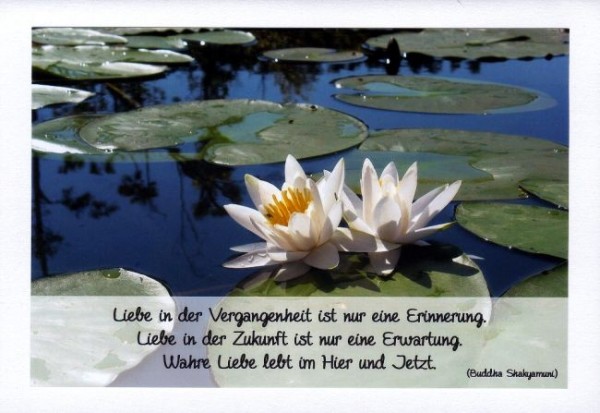 Spruchkarte "Wahre Liebe"