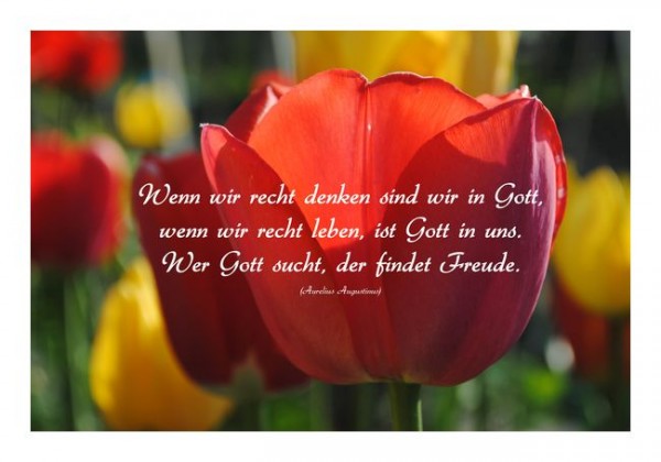 Christliche Karten "Rechtes Sein"