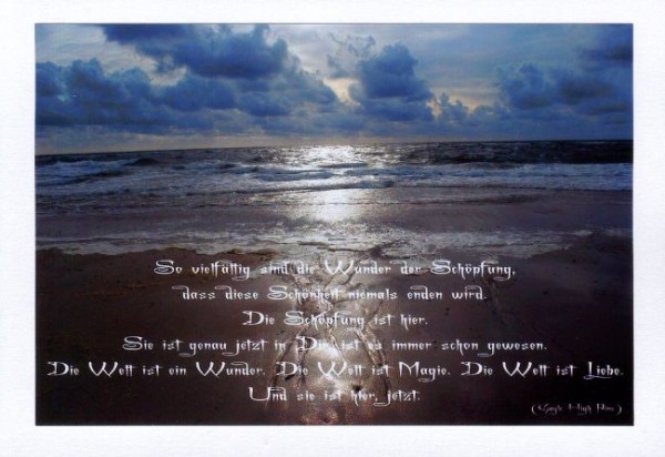 Sprüchekarten "Wunder der Schöpfung"