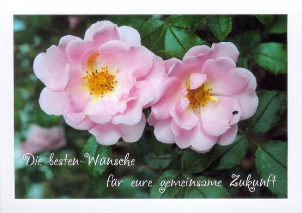 Hochzeitskarte "Röschen"