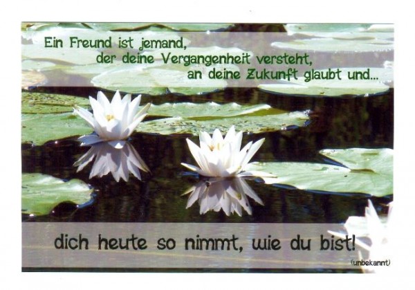 Sprüchekarte "Ein echter Freund"