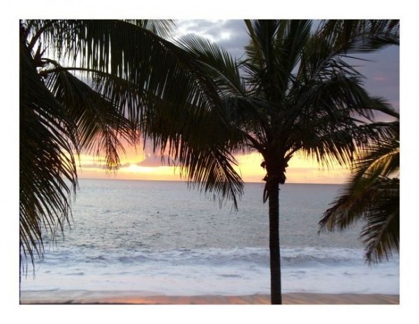 Glückwunschkarten "Traumstrand"