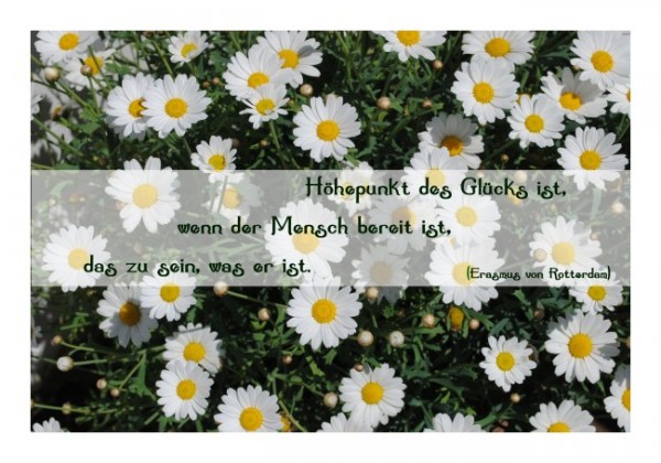 Karten mit Sprüchen "Höhepunkt des Glücks"