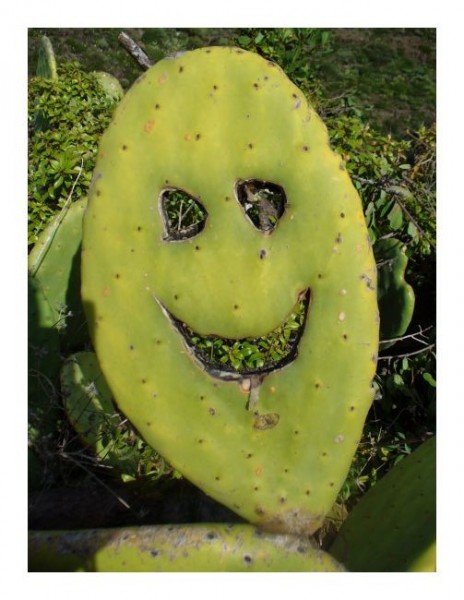 Lustige Karten "Kaktusgesicht"