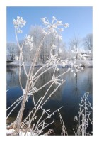 Winterpostkarten "Wintersee" Winterpostkarten "Wintersee"