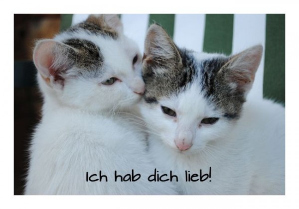 Liebeskarten "Ich hab Dich lieb"