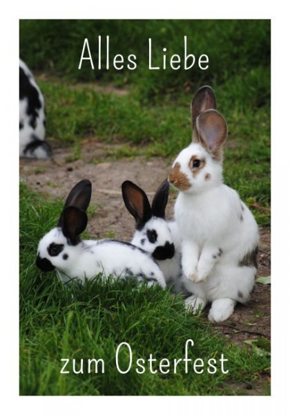 Osterkarten "Alles Liebe"
