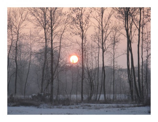 Romantische Grußkarten "Wintersonne"