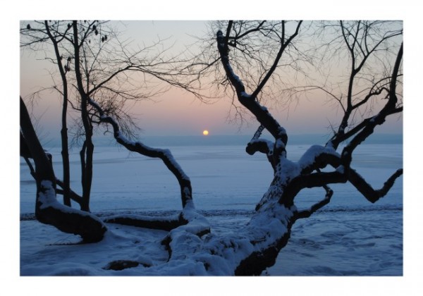 Winterpostkarten "Winterabend"