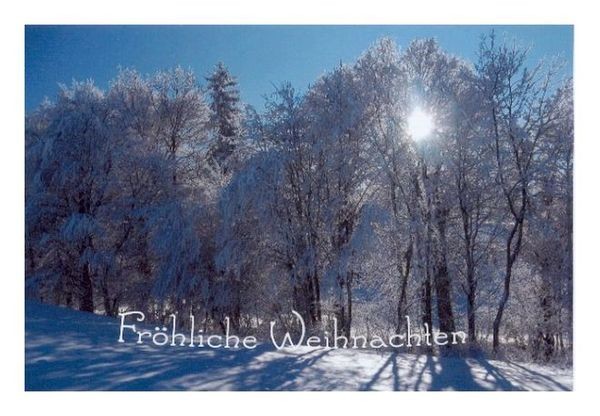 Silvesterkarten "Winterbäume"