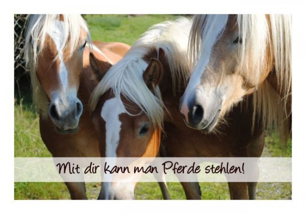 Freundeskarten "Mit Dir kann man Pferde stehlen" KLAPPKARTE & KUVERT