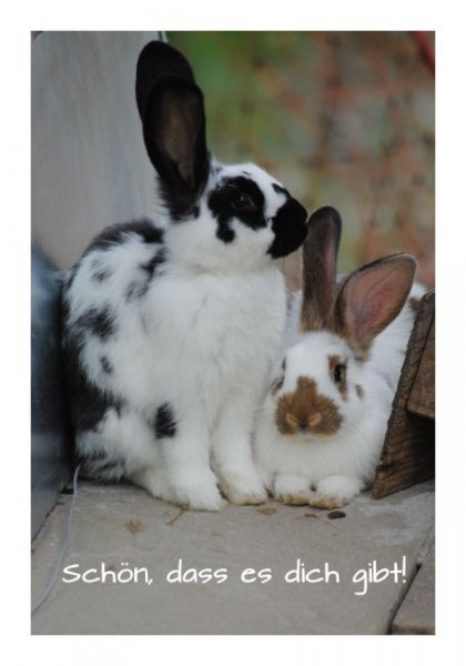 Freundeskarten "Schön dass es Dich gibt"