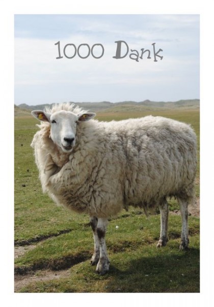 Dankeskarten "Schaf"