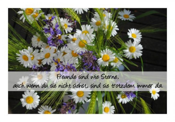 Freundschaftskarten "Freunde sind wie Sterne"