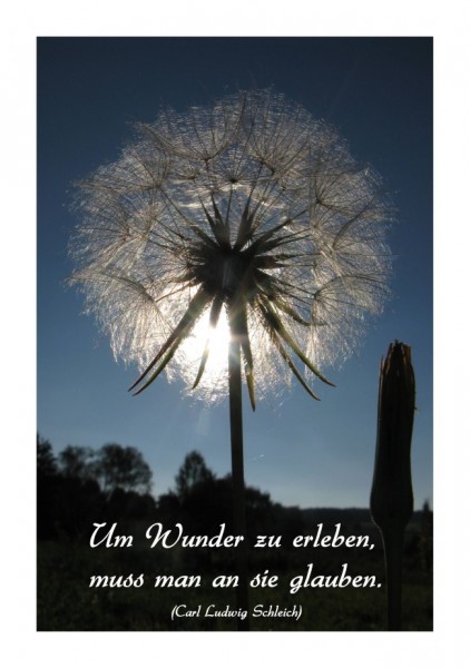 Sprüchekarte "Wunder"