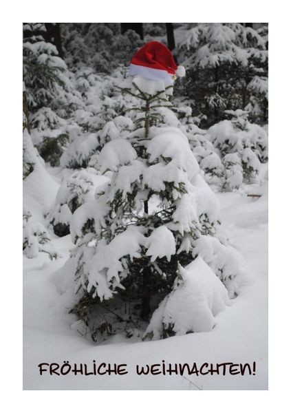 Weihnachtsglückwünsche "Nikolausbäumchen"