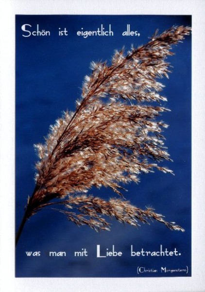 Karten mit Sprüchen "Schönheit der Liebe"