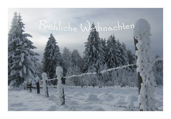 Weihnachtskarten "Schneewald"