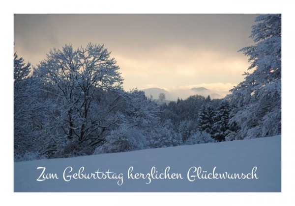 Originelle Geburtstagskarten "Winterland"