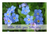 Schöne Geburtstagskarten "Vergissmeinnicht" Schöne Geburtstagskarten "Vergissmeinnicht"