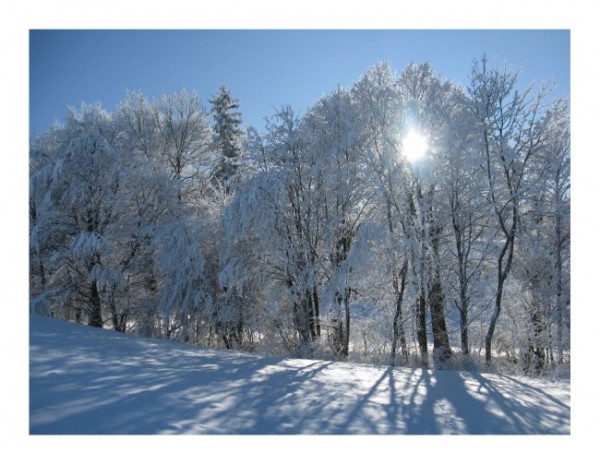 Winterpostkarten "Wintersonne"