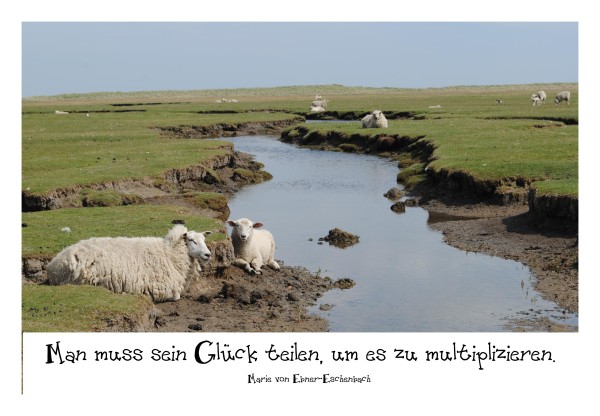 Sprüchekarte "Das Glück teilen"