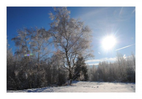 Wintergrußkarten "Eissonne"