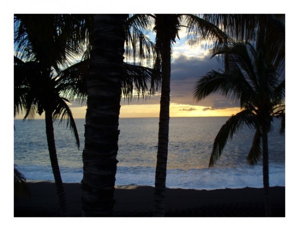 Romantische Grußkarten "Palmenstrand"