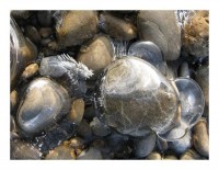 Winterkarte "Eisfeder" Winterkarte "Eisfeder"