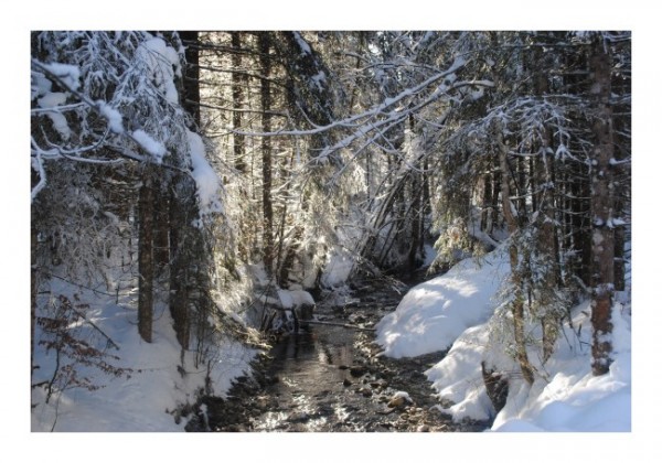 Winter-Karten "Winterfluss-1"