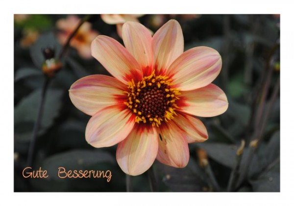 Genesungskarten "Alles Gute"