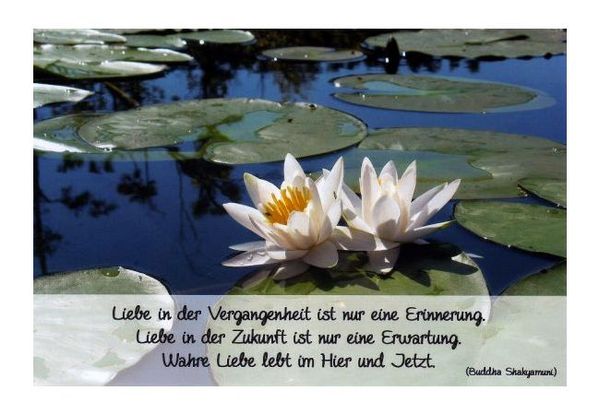 Spruchkarte "Wahre Liebe" KLAPPKARTE & KUVERT Naturzauber