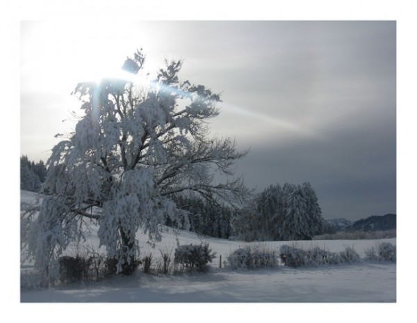 Winterkarten "Winterlicht"