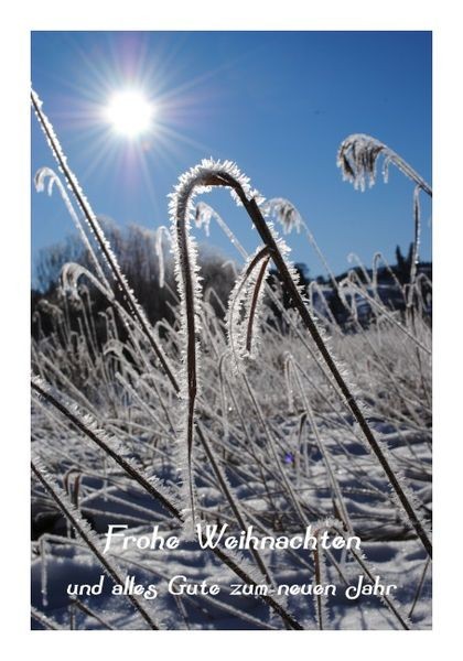 Silvesterkarten "Frieden"